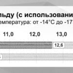 Какая шина — шипованная или липучка?